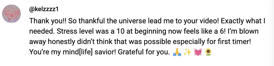 Meditation student review