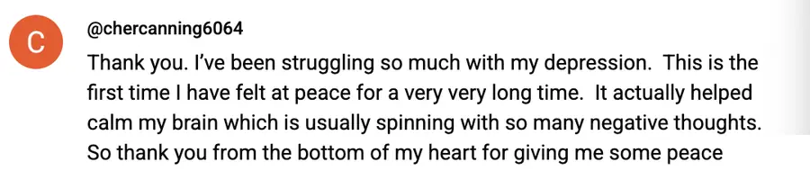 Meditation student review