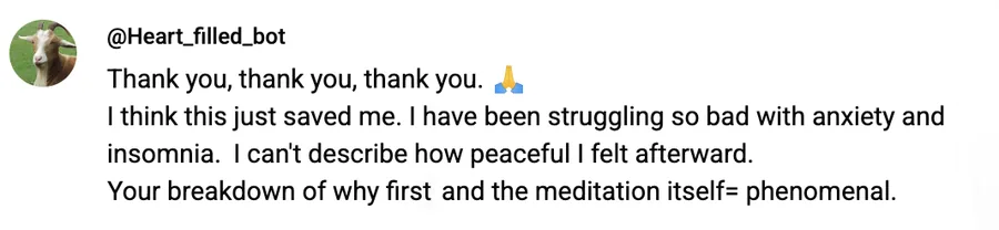 Meditation student review