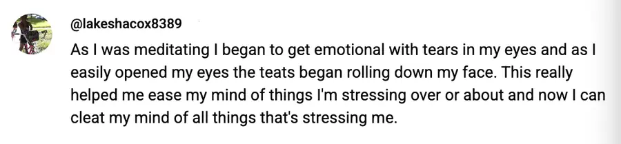 Meditation student review